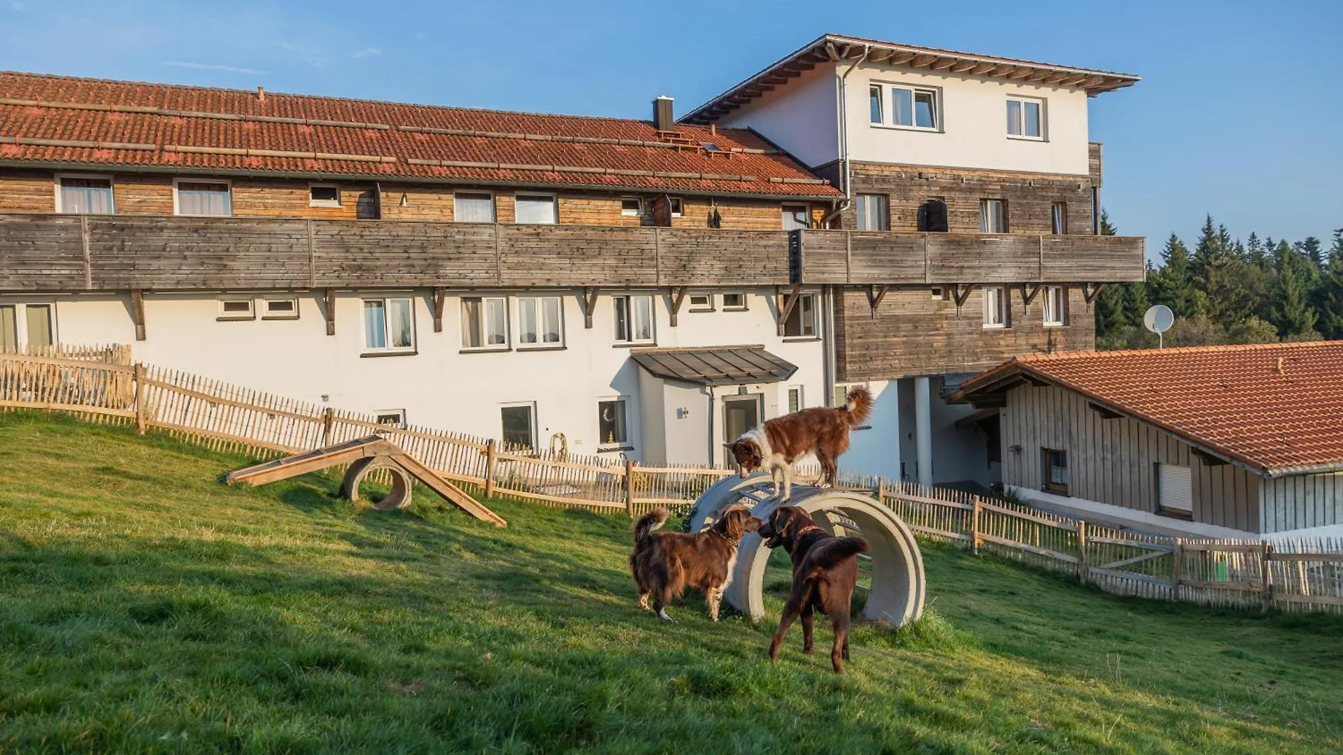 Hunderesort Waldeck - 4 Sterne Urlaub Mit Hund Philippsreut Hotel