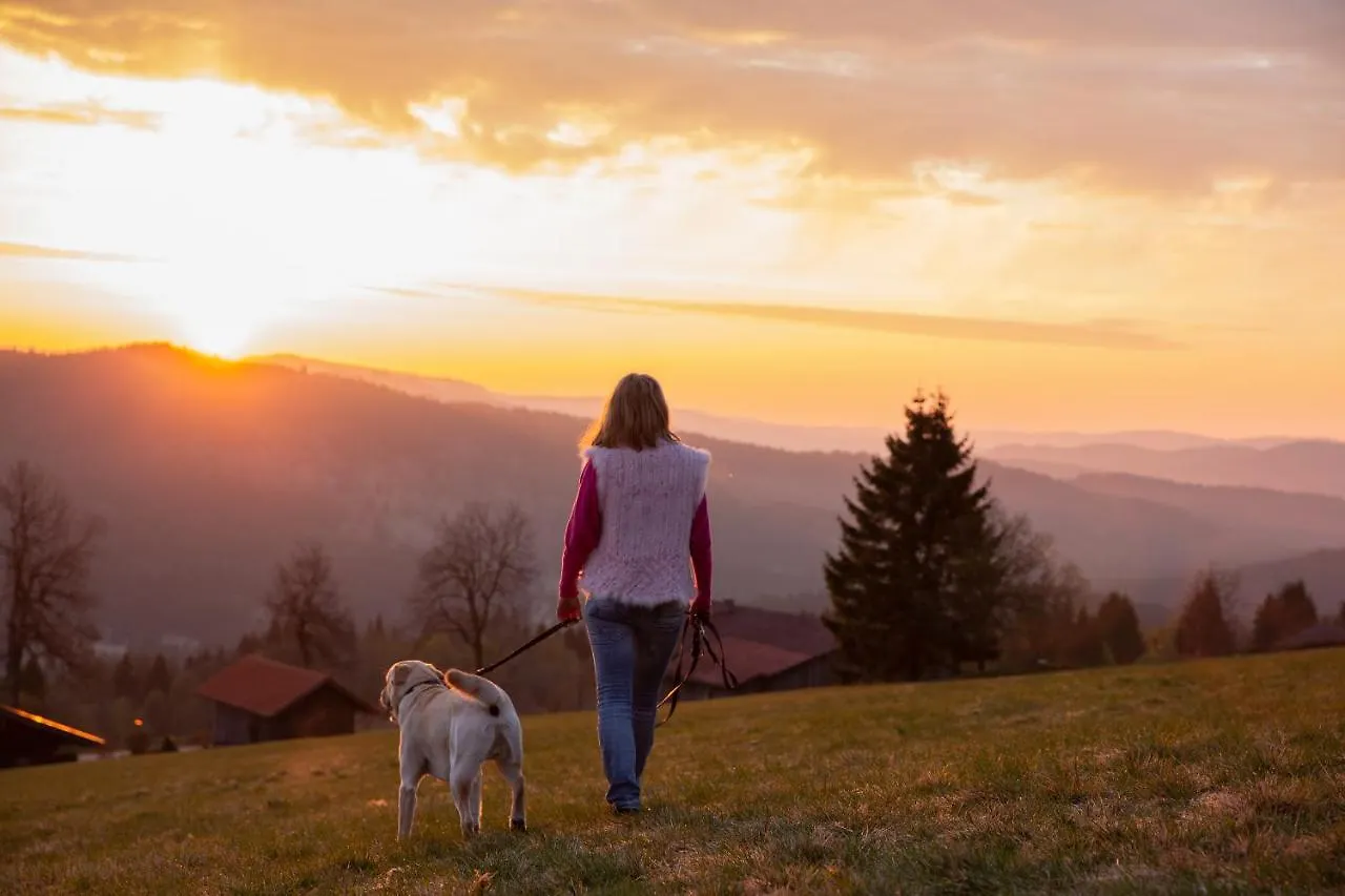 Hunderesort Waldeck - 4 Sterne Urlaub Mit Hund Philippsreut Hotel