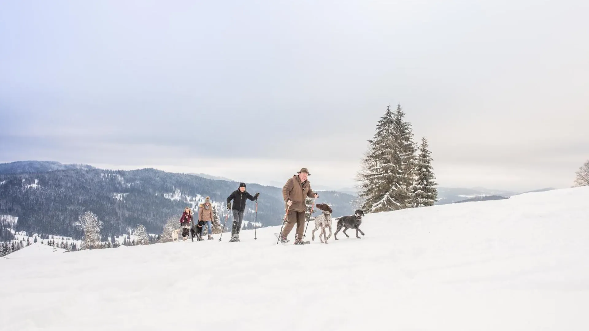 Hotel Landhotel Haus Waldeck - Urlaub mit Hund - Superior Philippsreut