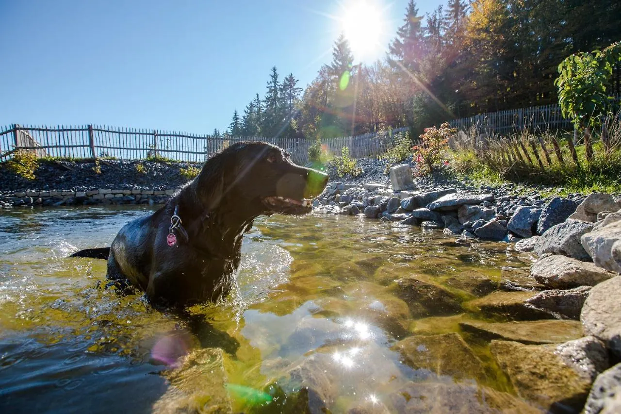 Landhotel Haus Waldeck - Urlaub mit Hund - Superior Philippsreut